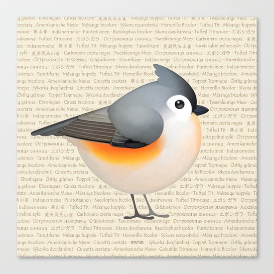 Tufty baeolophus Canvas Print