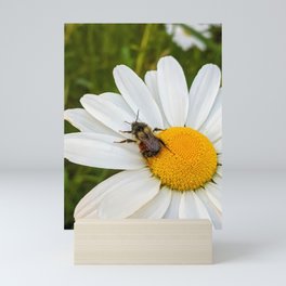 Busy As A Bee: Left Of Centre Mini Art Print