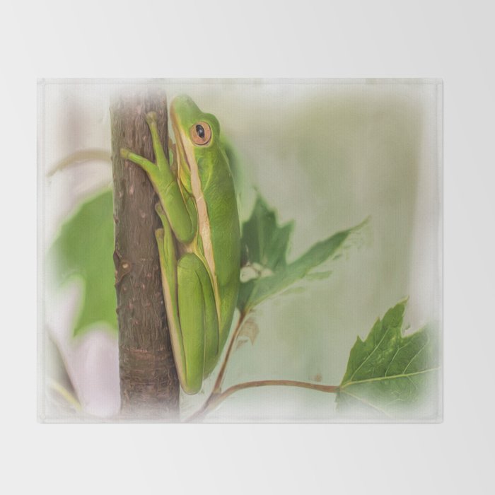 Painted Green Tree Frog Throw Blanket By Scotthervieux Society6