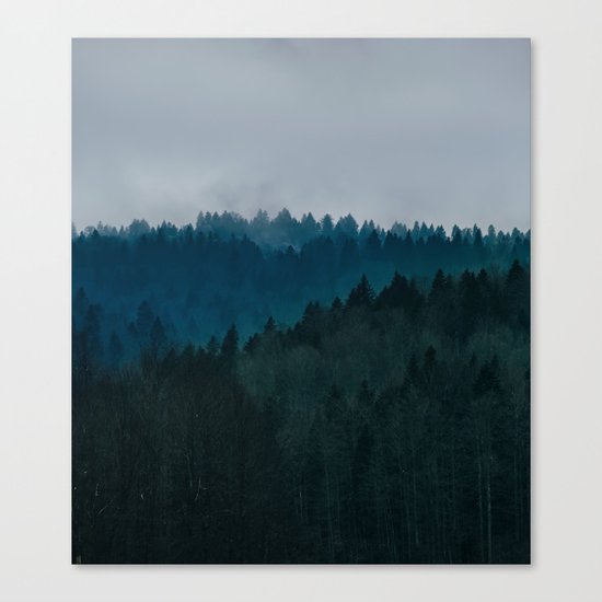 Fog Canvas Print
