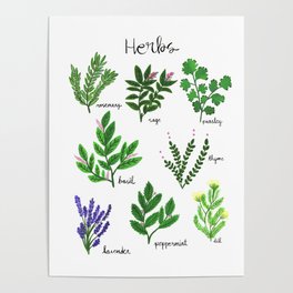 Kitchen Kitchen Herbs Poster