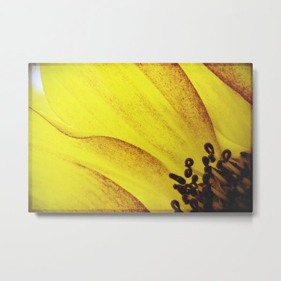 warmth Metal Print