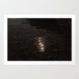 Sunlight reflecting on mountain creek - Sunny summer day l Nature travel photography photo print Art Print