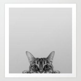 Peekaboo Cat Art Print