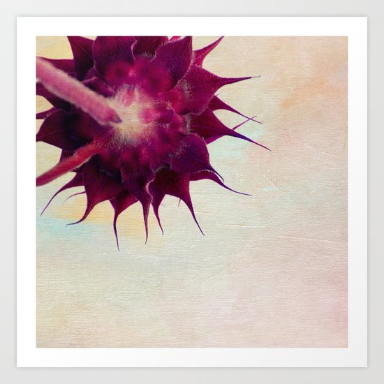 pink sunflower Art Print