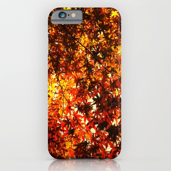 Splendor iPhone & iPod Case