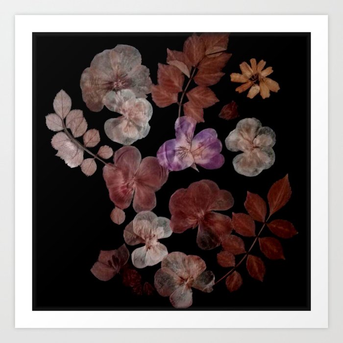 Dry flowers composition Art Print