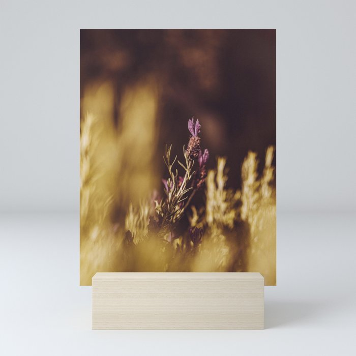 french lavender Mini Art Print