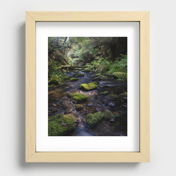 Rainforest Creek Recessed Framed Print