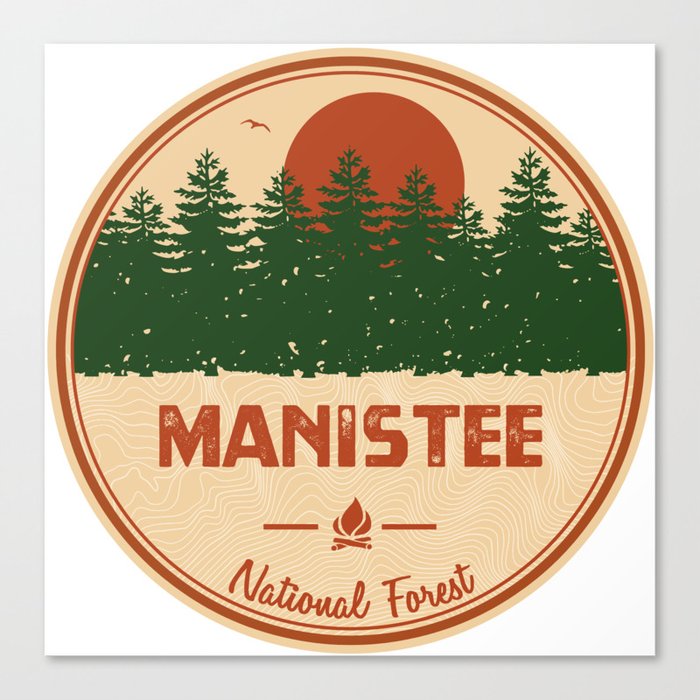 Manistee National Forest Canvas Print