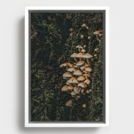 Fungal Associates Framed Canvas
