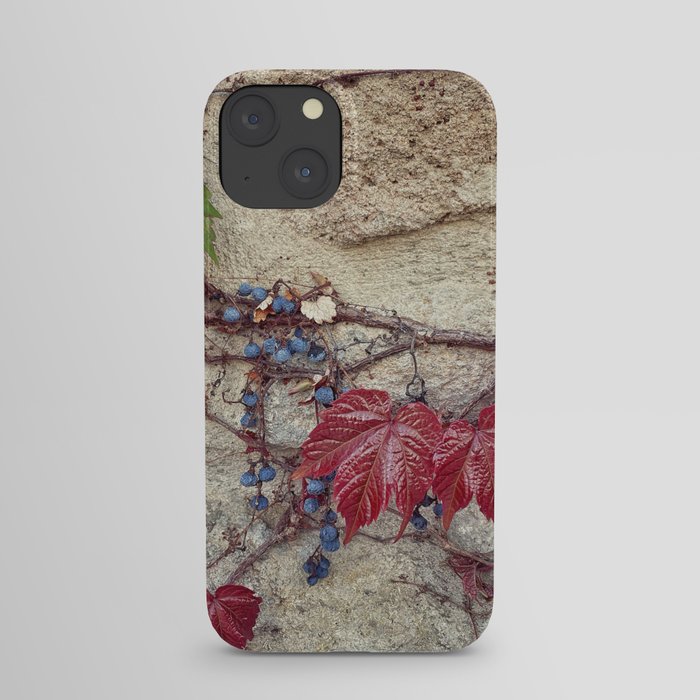 Grapes Wall iPhone Case