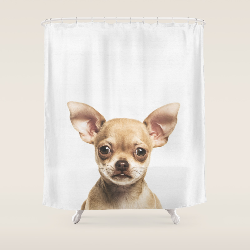 Chihuahua shower curtain clearance