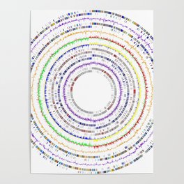 Genome Circles 3 Poster