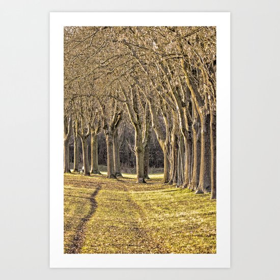 Avenue Art Print