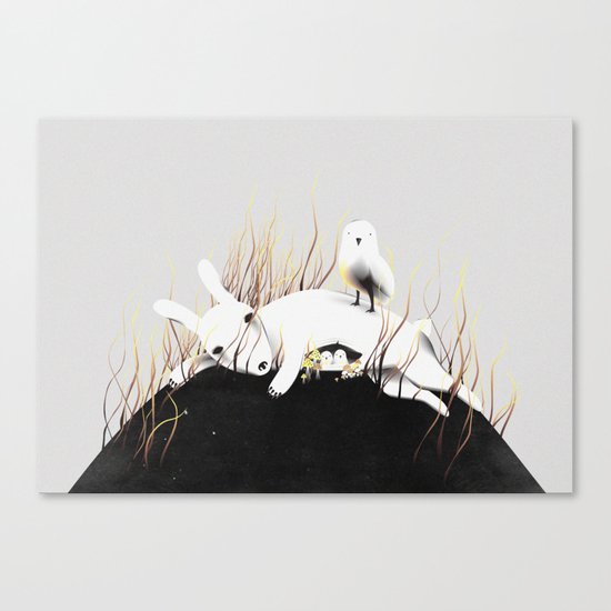 Discovery Channel Canvas Print