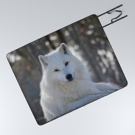Portrait Arctic Wolf Winter Canis Lupus Picnic Blanket