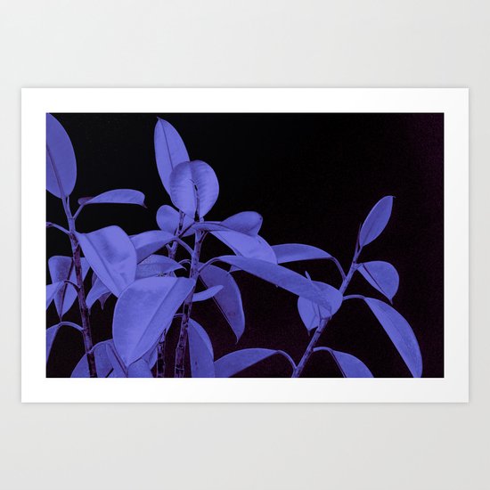 Rubber plant II Art Print