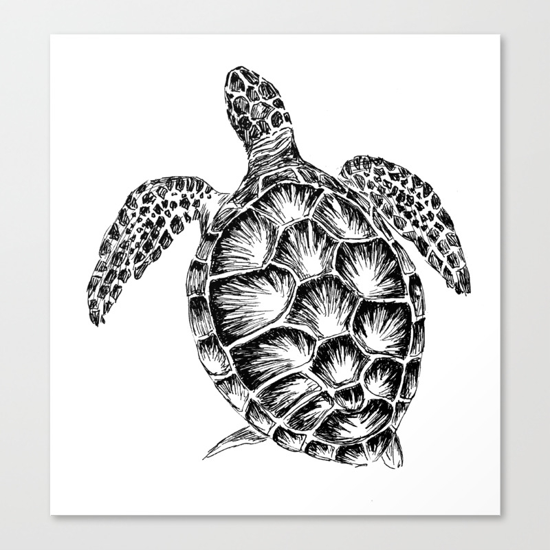 Sea Turtle Print In Black And White Canvas Print By