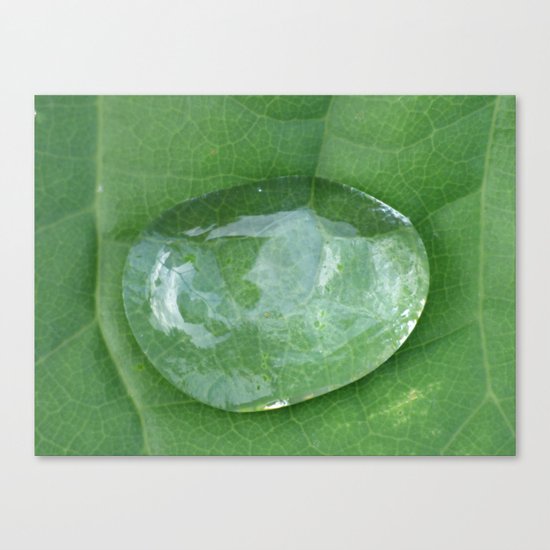 droplet 2015 Canvas Print