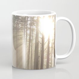 Winter Sunbeams in a Scottish Highlands Pine Forest Mug
