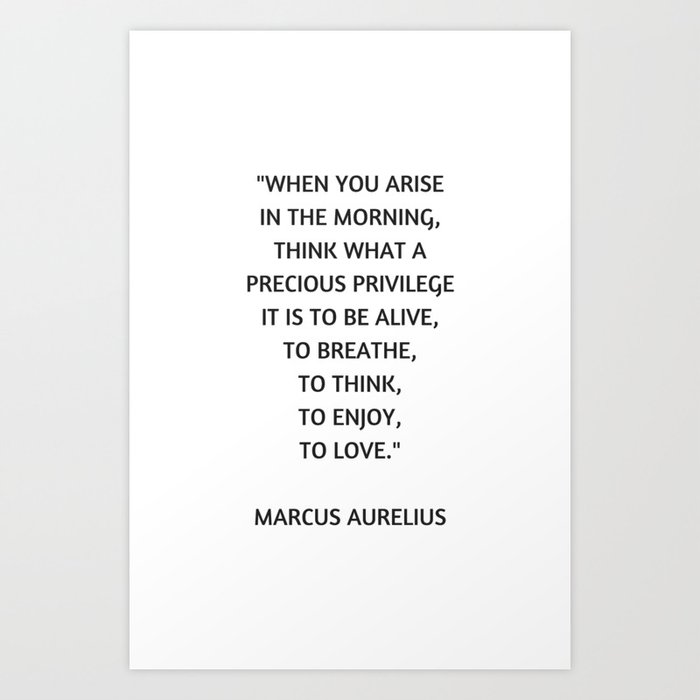 Stoic Philosophy Quote - Marcus Aurelius - What a precious privilege it is to be alive Art Print