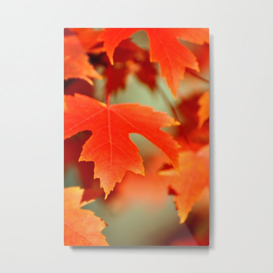 FALL LEAF - ORANGE Metal Print