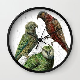 Three native parrots of New Zealand Wall Clock | Wildlife, Parrots, Kiwiana, Birds, Ink, Animal, Kea, Foliage, Painting, Watercolor 