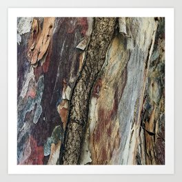 Tantalizing Tree Bark Dramatic Colors Art Photo Art Print