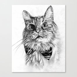 Reggie the Cat, realistic graphite drawing Canvas Print
