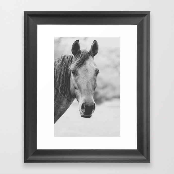 Wild Heart, No. 4 Framed Art Print