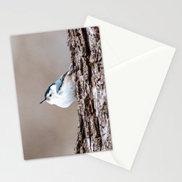 Nuthatch on Tree Stationery Card