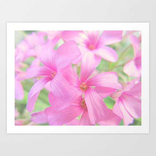 Coral Pink Petals Art Print