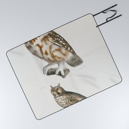 23 The Acadian Owl (Ulula acadica) 24 The Long-eared Owl (Otus americanus)  from Zoology of New York Picnic Blanket