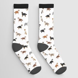 Australian Shepherd Colors Pattern Socks
