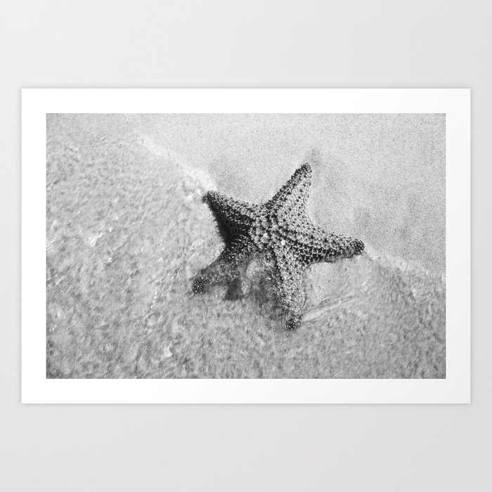 Starfish on Sandy Beach Art Print