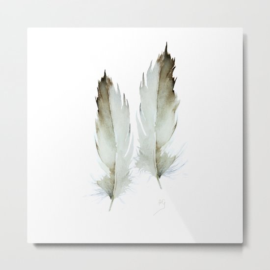 feathers Metal Print