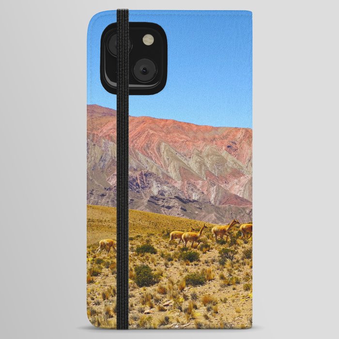 The Range of Mountains called Hornocal or 14 Colors Mountain in Jujuy Region of Argentina iPhone Wallet Case