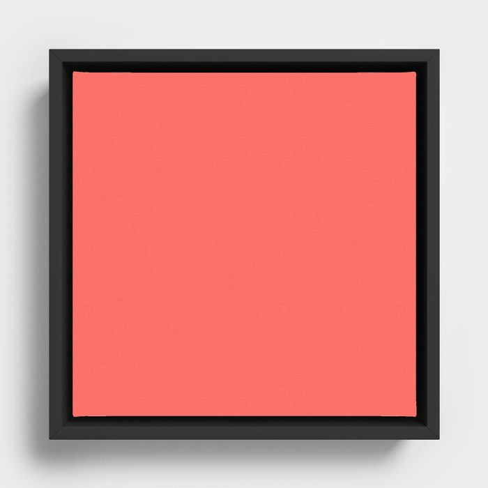 Framed Canvas