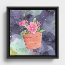 A Curious Pot of Petunias Framed Canvas
