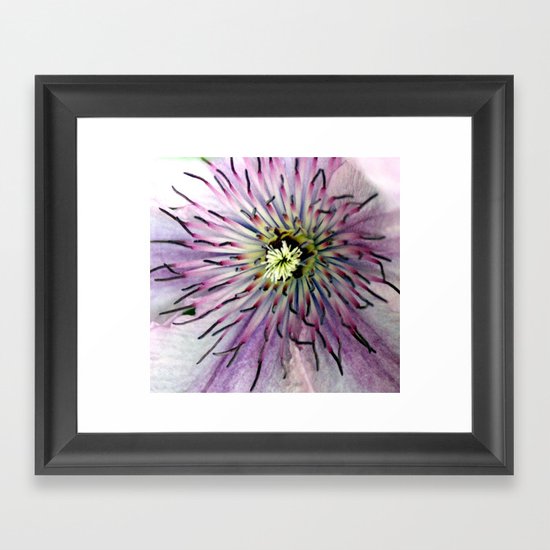 Clematis Heart Macro Framed Art Print