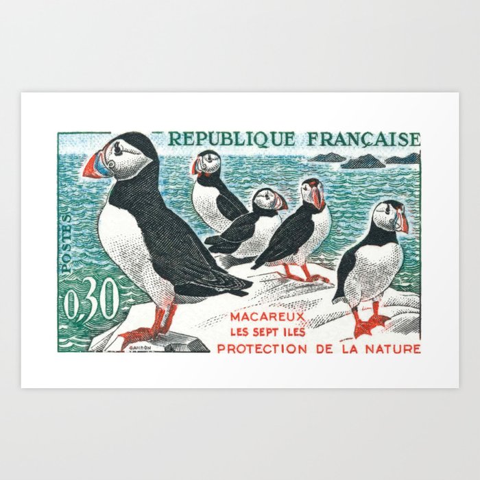 1960 FRANCE Atlantic Puffins Nature Conservation Stamp Art Print