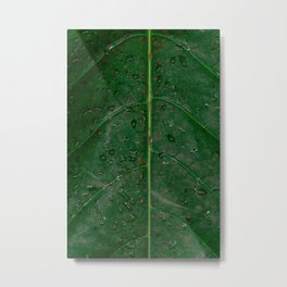 Botanical leaf with rain drops | Tropical travel photography | Nature art print Metal Print