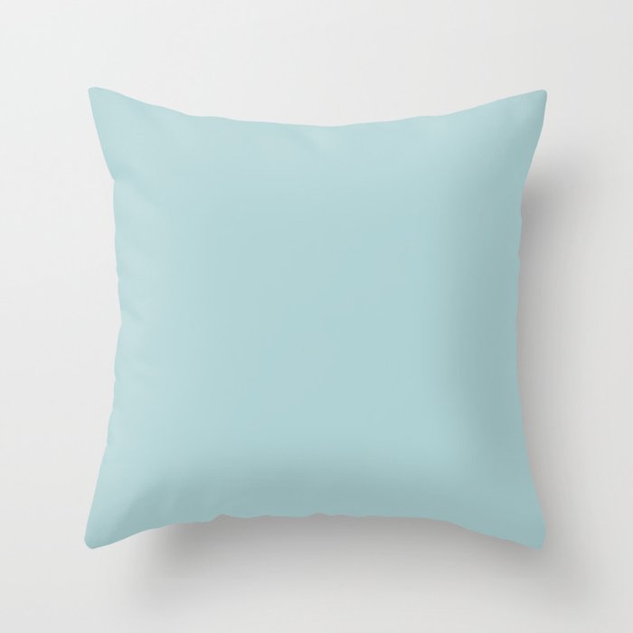 Vintage Blue Mint Throw Pillow