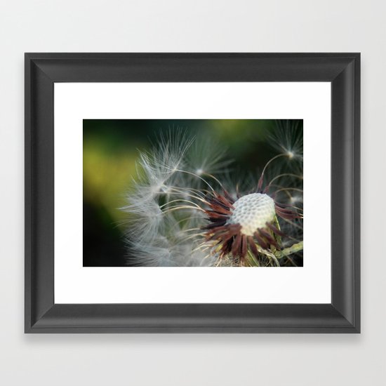 Delicate Framed Art Print