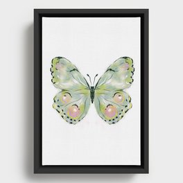 Exquisite Light Green Watercolour Butterfly Framed Canvas
