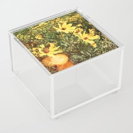 august heat Acrylic Box