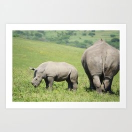 Rhino & Baby in South Africa Art Print