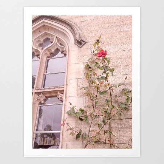 Rose Window Art Print