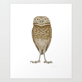 Burrowing Owl Art Print
